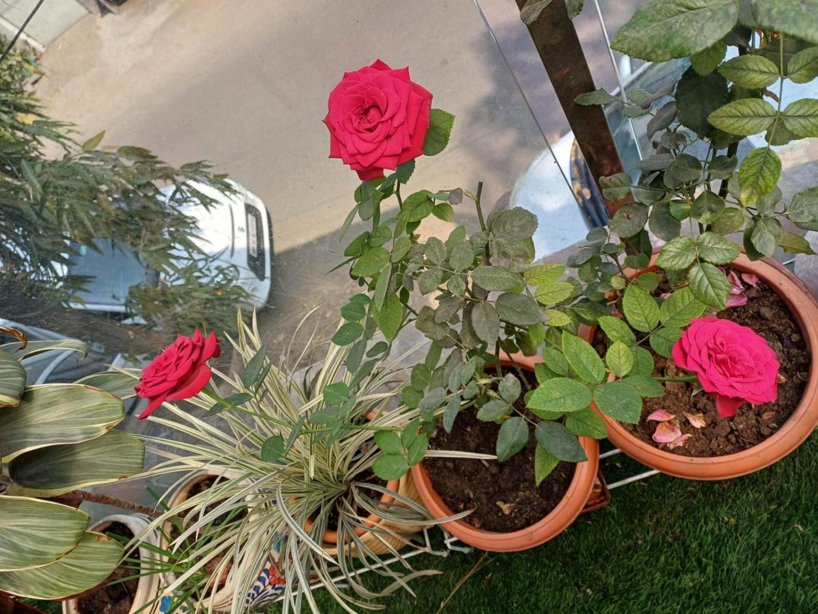 2Bhk Chandra Jyoti Villa Nit Garden Nagpur Exterior photo